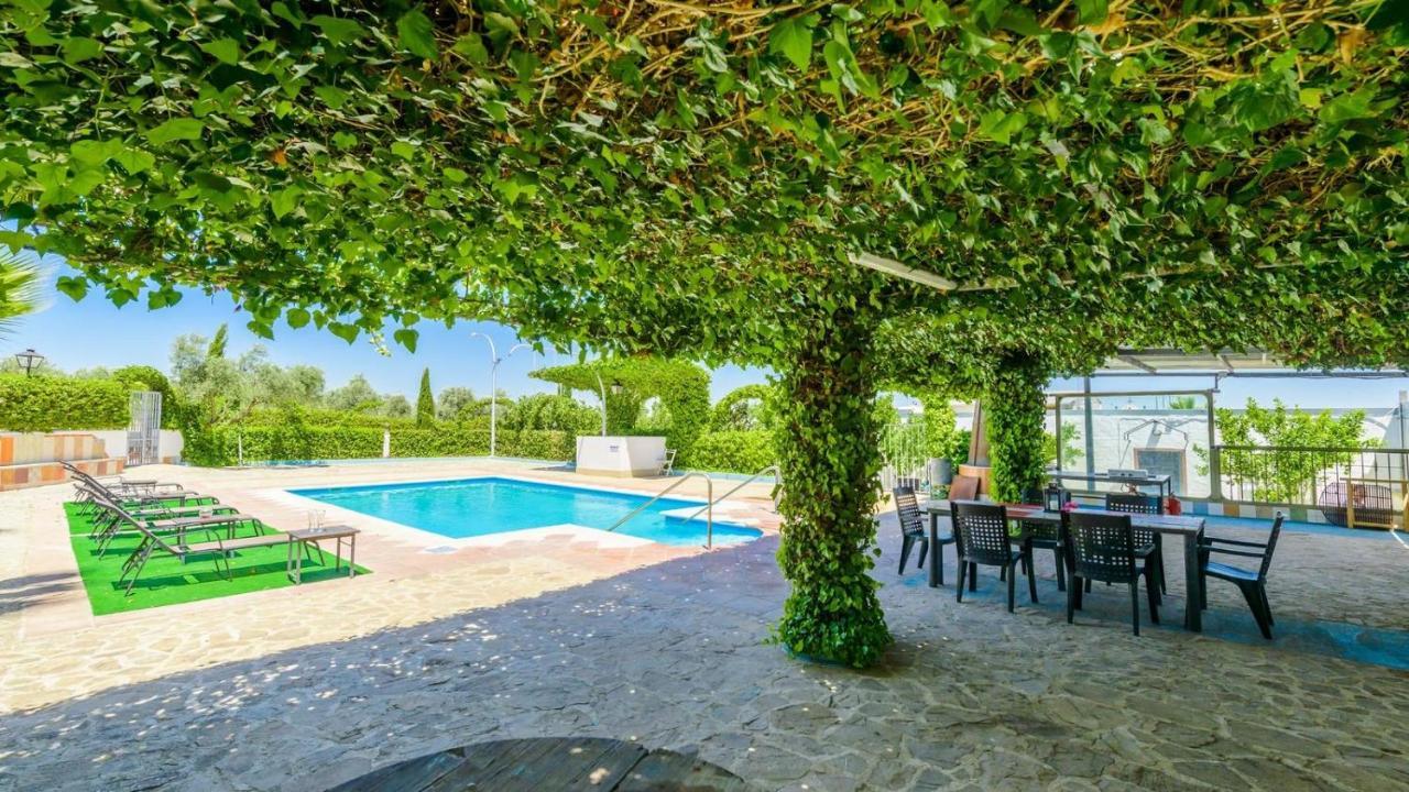 Cortijo El Vinculo Campillos By Ruralidays 马拉加 外观 照片