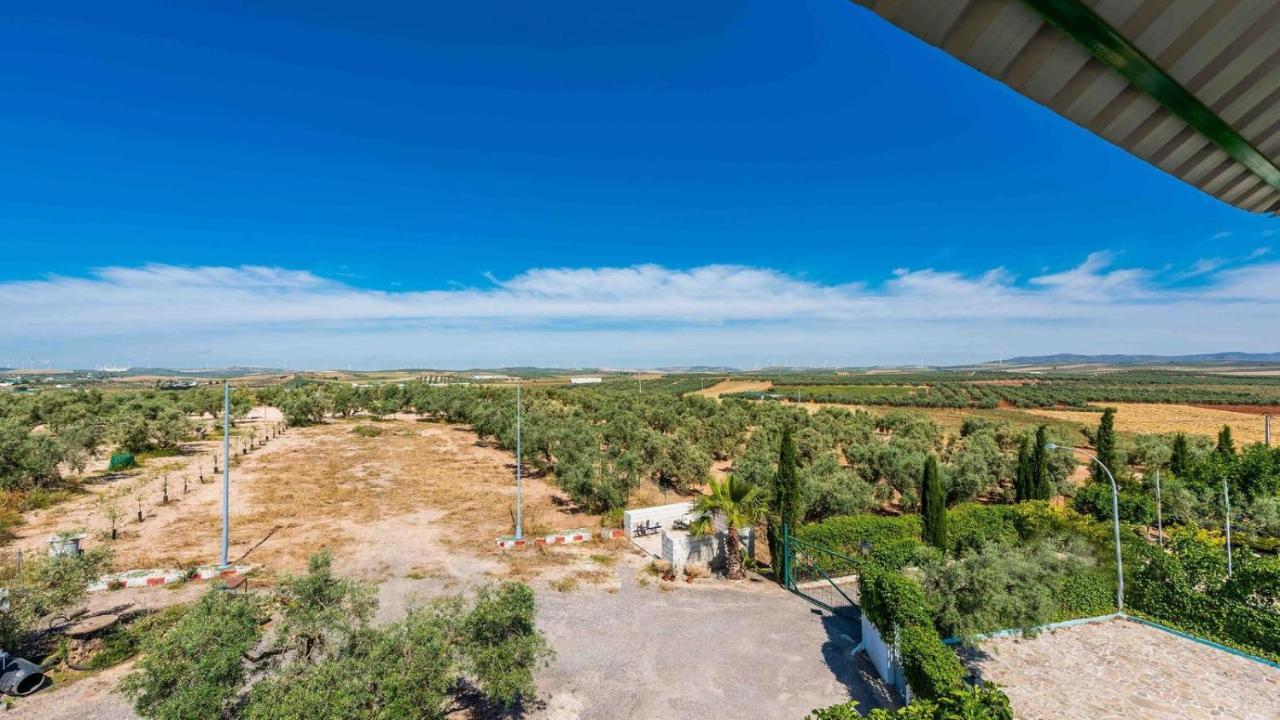 Cortijo El Vinculo Campillos By Ruralidays 马拉加 外观 照片